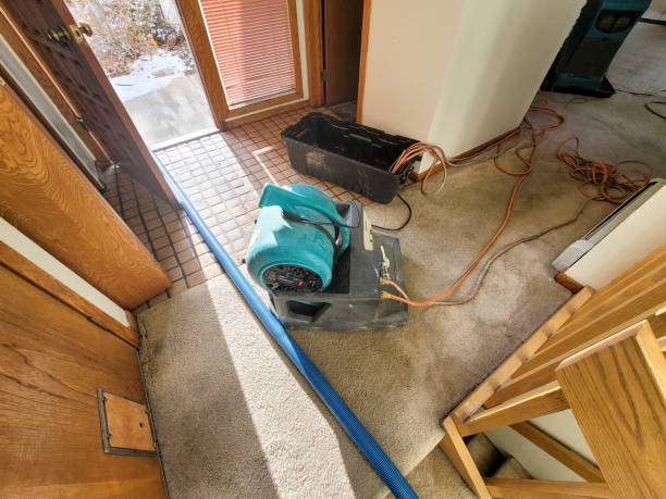 Best Water damage contractors near me  in Crescent City, CA