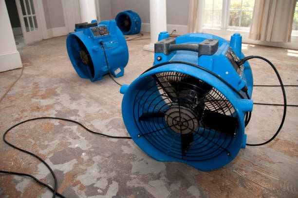 Best Water damage restoration insurance claims  in Crescent City, CA