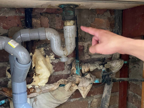 Best Mold removal after water damage  in Crescent City, CA