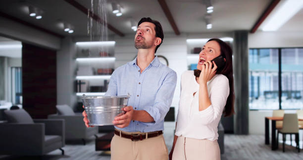 Best Flooded house restoration  in Crescent City, CA