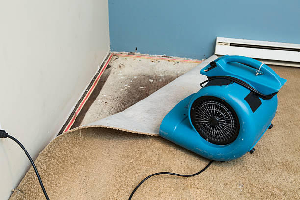 Water damage restoration insurance claims in Crescent City, CA